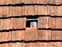 a roof with a missing tile