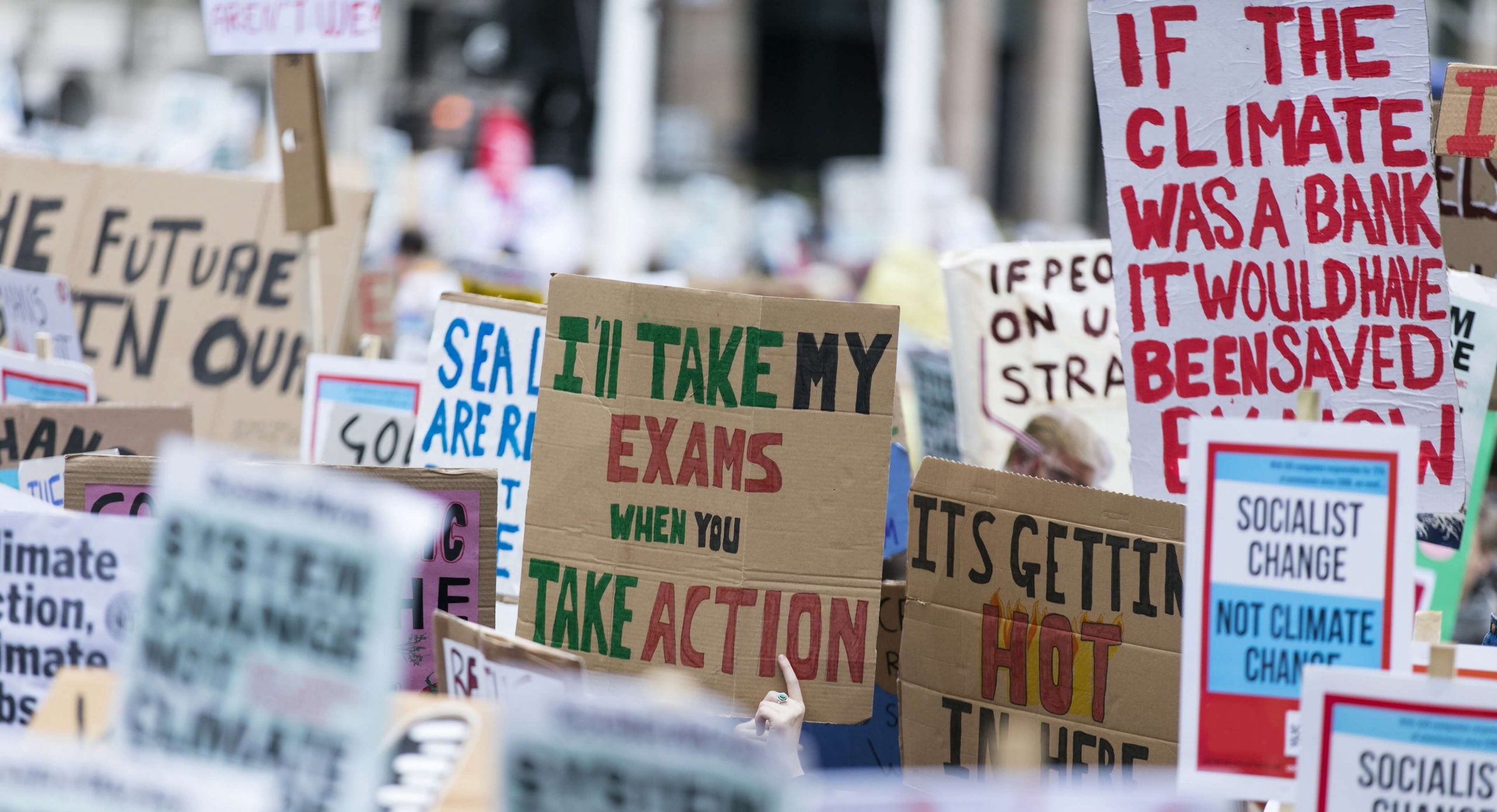 Environmental Trends to Watch Out for in 2020 The Eco Experts