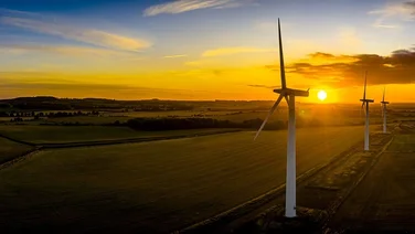 carbon neutral companies