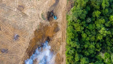 aerial view of desforestation