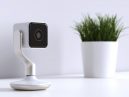 hive security camera