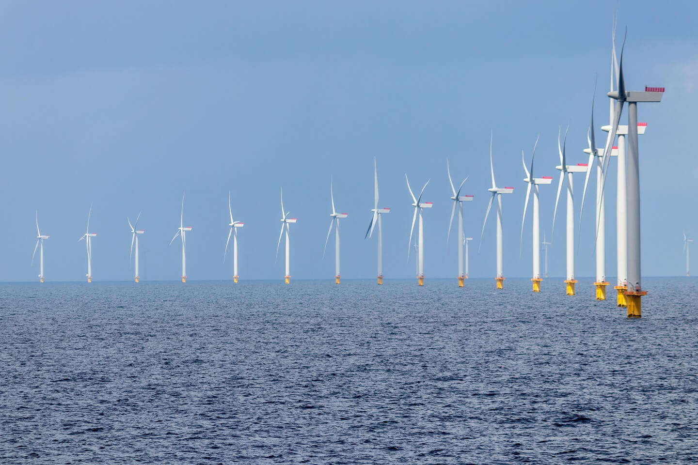 a row of wind turbines in sea