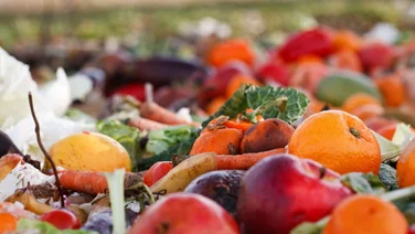 vegetables and fruit appear in a pile of food waste in a landfill