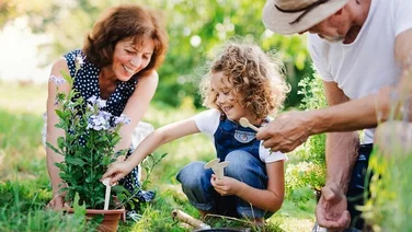 Growing food at home