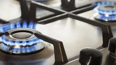 Gas cooker flames