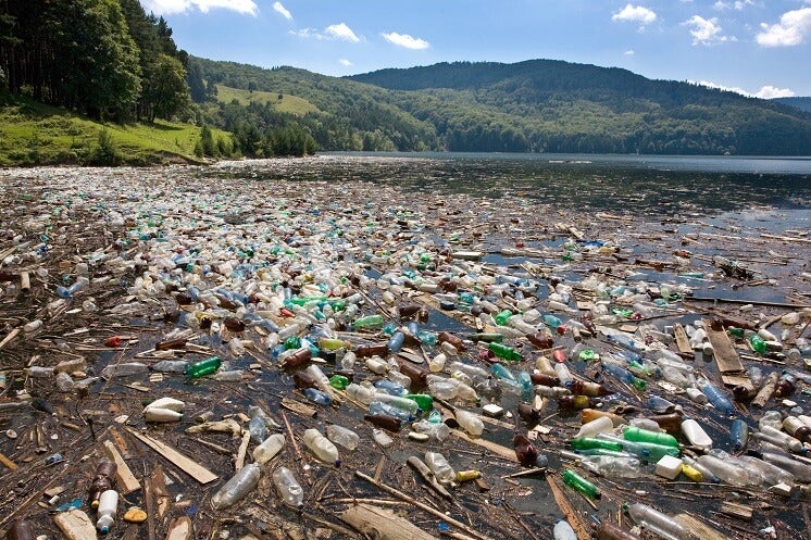 plastic pollution in lake