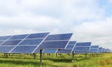 Solar farm with grass underneath