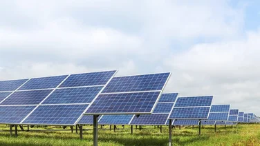Solar farm with grass underneath