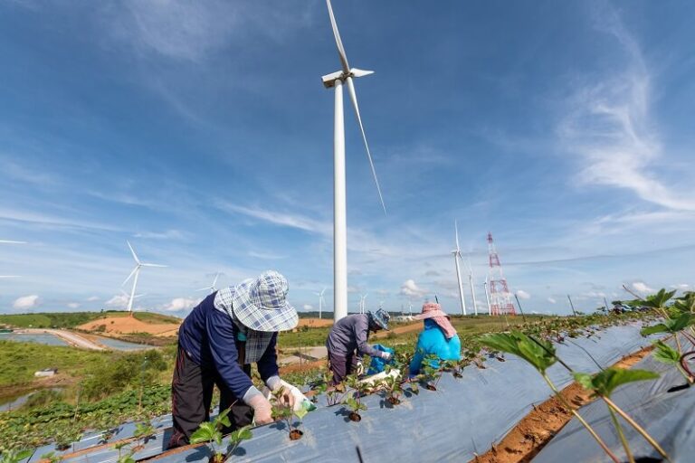 The 7 largest wind farms in the world The Eco Experts