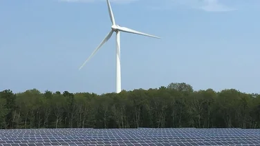 What are Green Deals?