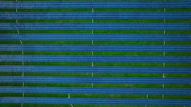 A solar farm