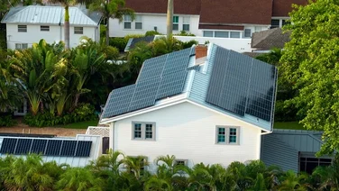 residential house surrounded by palm trees with rooftop covered with solar panels