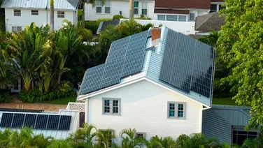 residential house surrounded by palm trees with rooftop covered with solar panels