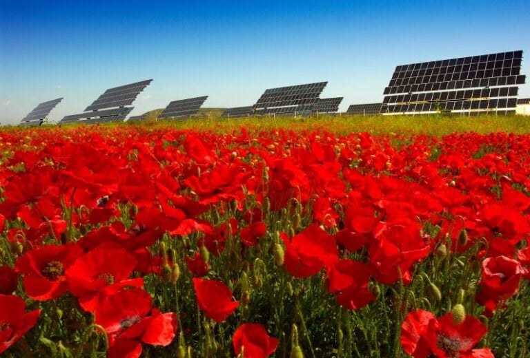 Precio por alquilar un terreno para placas solares en 2023